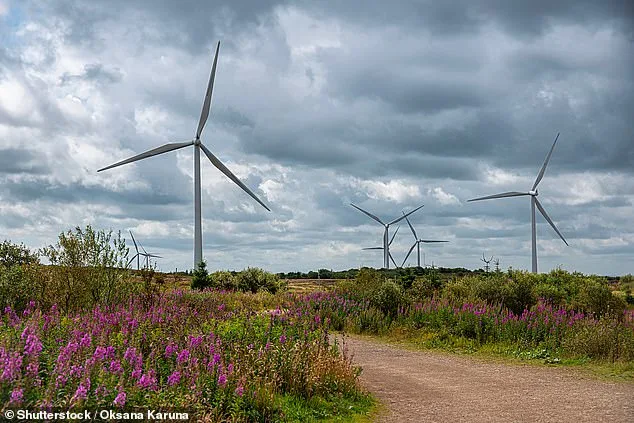 UK Electricity Becomes 'Most British' in 25 Years as Renewables Drive Domestic Production