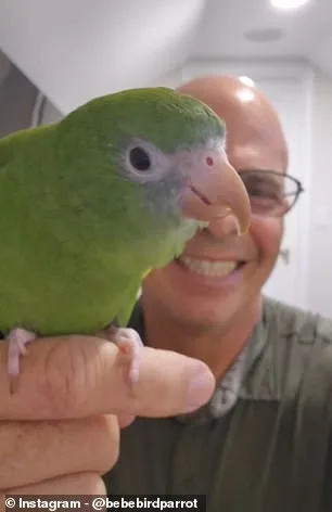 Viral Sensation or Ethical Dilemma? Parakeet's Submarine Adventure Sparks Global Debate on Innovation and Animal Welfare