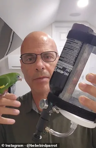 Viral Sensation or Ethical Dilemma? Parakeet's Submarine Adventure Sparks Global Debate on Innovation and Animal Welfare
