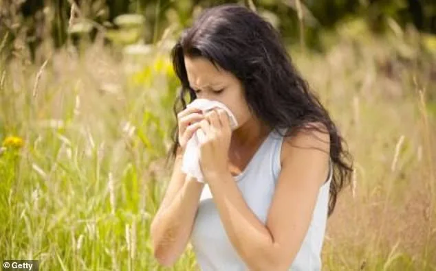 Pollen Surge Sparks Health Concerns Over Hay Fever Medication Overuse