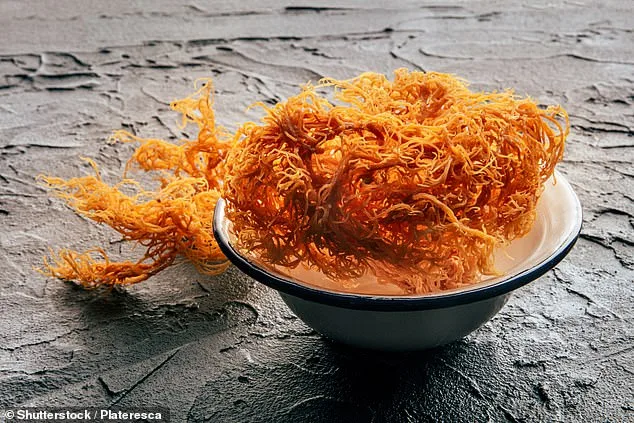 Sea Moss Booms as Health Trend, But Experts Question the Evidence