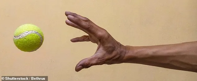 Shoulder Pain: A Hidden Red Flag for Life-Threatening Conditions, UK Study Finds