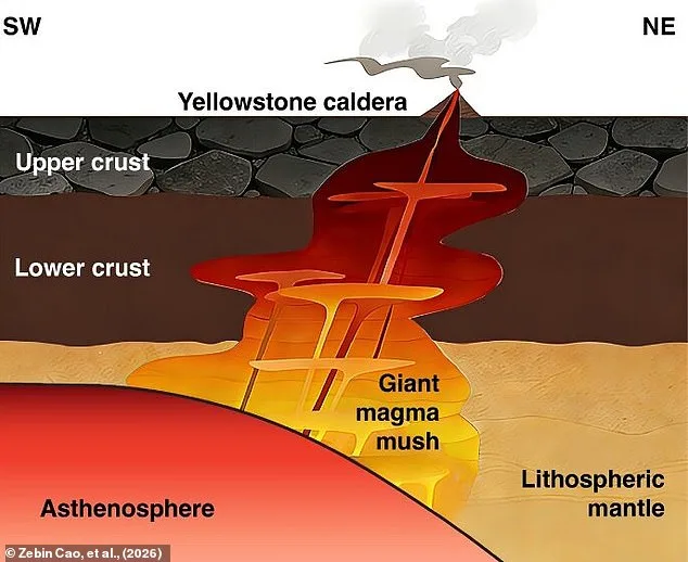 Yellowstone's Geological Time Bomb: Shallow Magma System Revealed in New Study