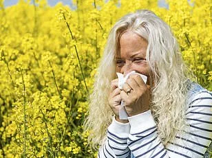 Hay Fever Meds May Increase Appetite and Weight Gain