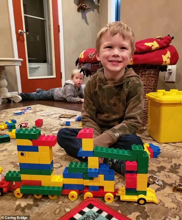 Boy rescued after six hours of CPR following sibling rescue attempt.