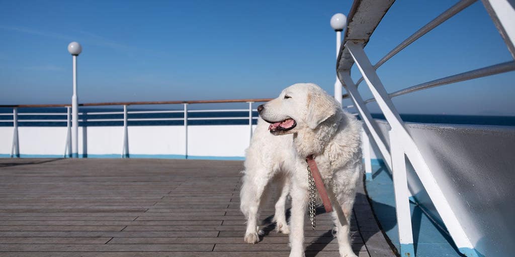 Fabled Voyages Opens Pet-Friendly Residential Cruises for Cats and Dogs