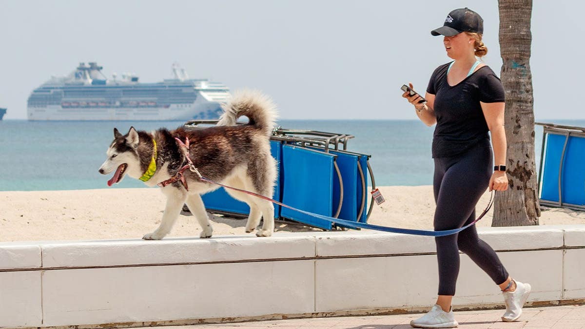 Fabled Voyages Opens Pet-Friendly Residential Cruises for Cats and Dogs