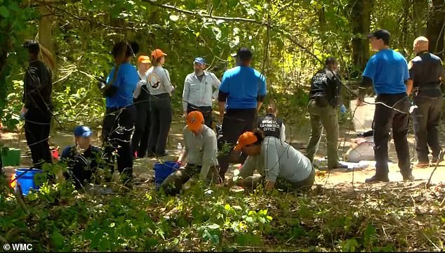 Investigators seek DNA match for three missing Michigan boys found in Memphis.