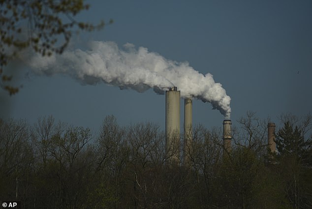 One Hour of Pollution Exposure Alters Brain and Lung Function