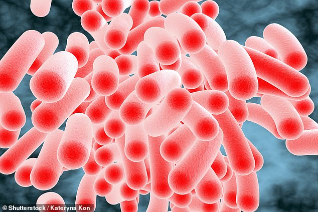 Health officials warn diners to check hygiene ratings as salmonella cases hit ten-year high.