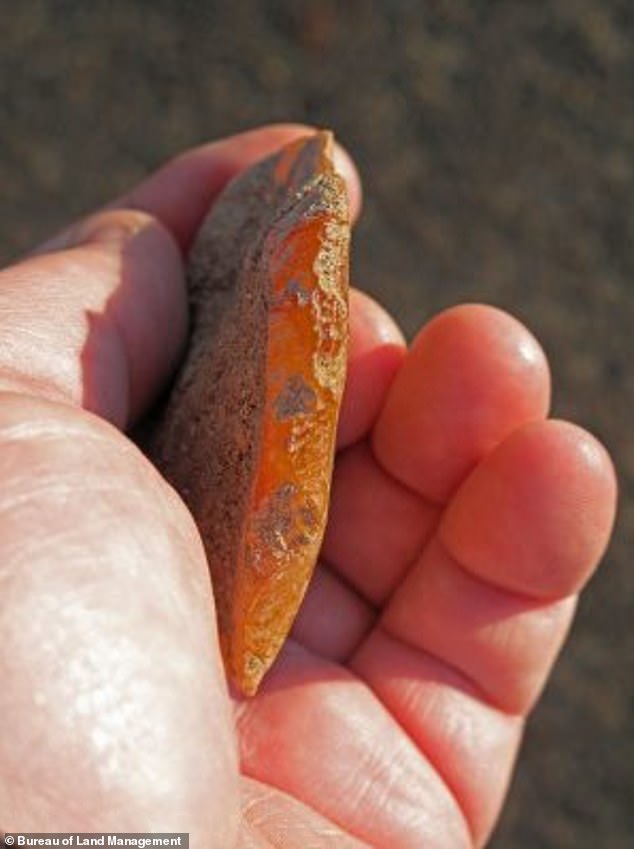 Oregon Site Dates Human Presence in North America to 18,250 Years Ago.