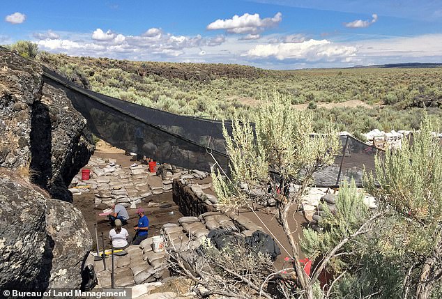 Oregon Site Dates Human Presence in North America to 18,250 Years Ago.