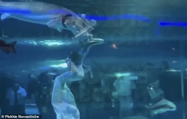 Terrifying moment a giant fish attacks a mermaid performer's face in front of terrified children