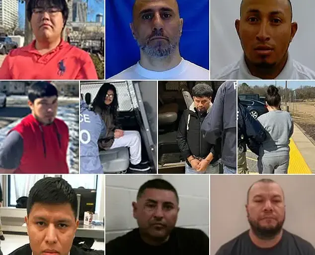 Trump's Immigration Crackdown Aims to Remove Criminal Aliens