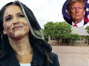 Tulsi Gabbard's controversial path to National Intelligence Director