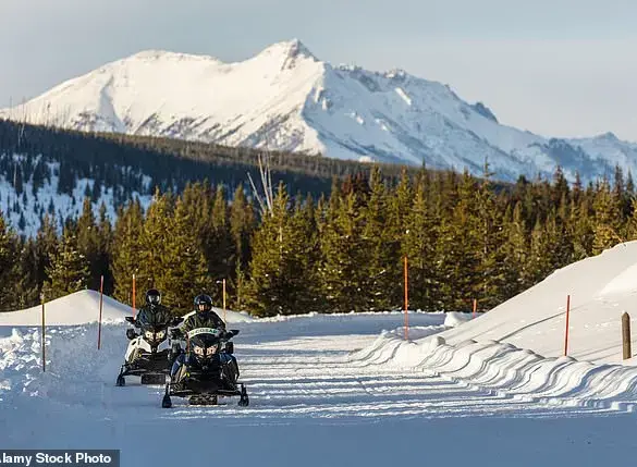 Wyoming man's treatment of injured wolf sparks global outrage