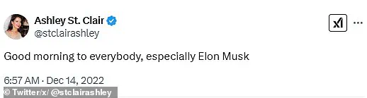 Ashley St. Clair's Elon Musk Social Media Stunts Come Back to Haunt Her