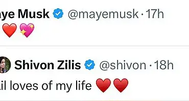 Elon Musk's Baby Mama Accuses Him of Ghosting, Reveals Child on Valentine's Day