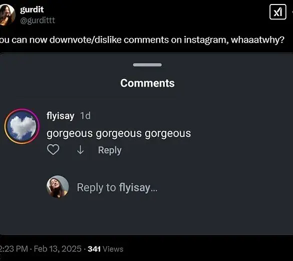 Instagram's New 'Dislike' Feature Raises Concerns