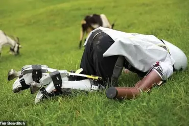 Living as a Goat: A Man's Year-Long Experiment in Switzerland