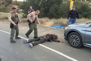 Los Angeles Wildfire Survivors Chase and Apprehend Accused Arsonist
