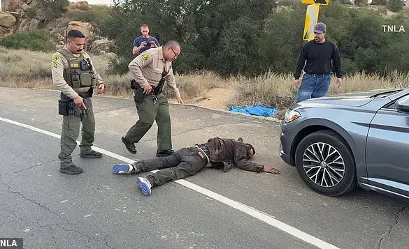 Los Angeles Wildfire Survivors Chase and Apprehend Accused Arsonist