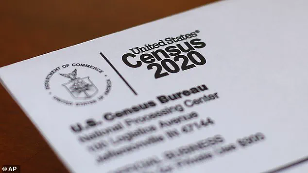 Rethinking Race and Identity in the 2020 US Census: A Complex Picture Emerges