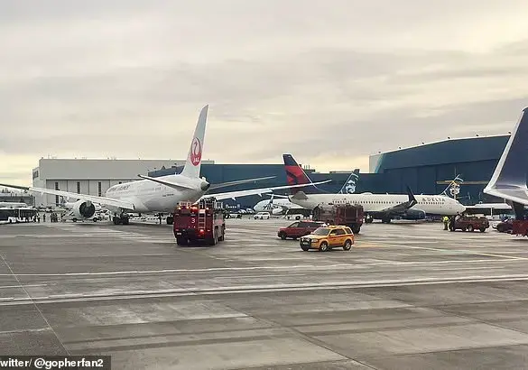 Scary collision between Japan Airlines and Delta planes at Seattle Airport