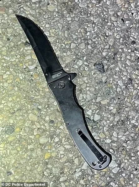 Thief's Rage Leads to Carjacking and Police Encounter in D.C.