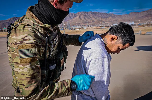 Trump Administration Reassigns Top Immigration Official Over Deportation Frustration
