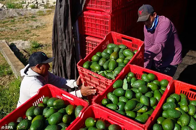 Trump's Tariff War: Impact on North America