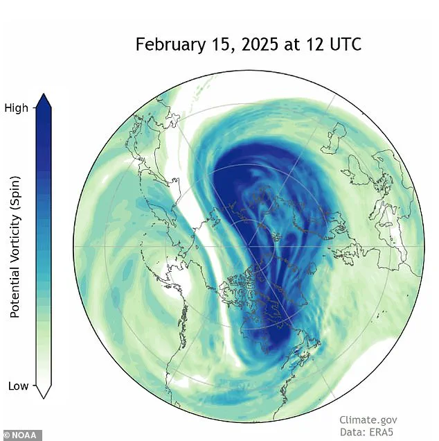 USA's Coldest January in Decades: Unraveling the Extreme Weather Event