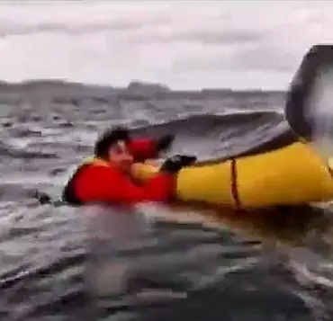 Whale attack 'vindicates' Massachusetts diver accused of lying