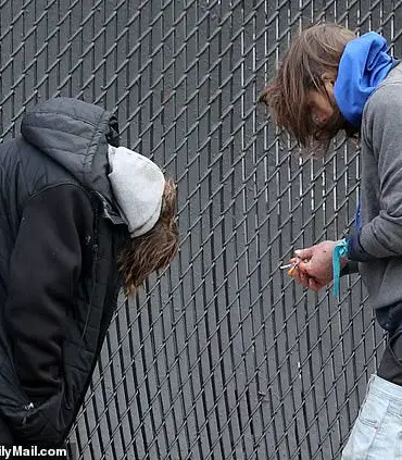 Alarm Raised Over 'Zombie Drug' Xylazine: Found in 83% of Illicit Substance Samples in Tijuana