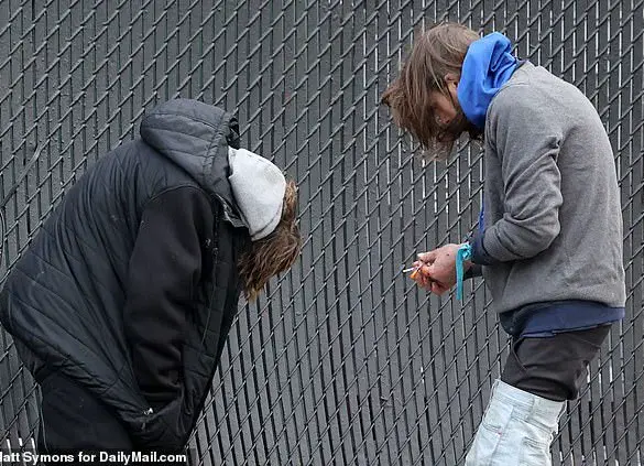 Alarm Raised Over 'Zombie Drug' Xylazine: Found in 83% of Illicit Substance Samples in Tijuana