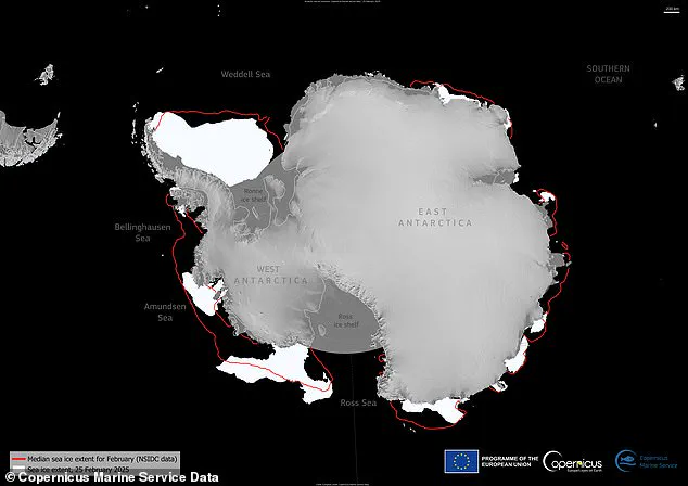 Antarctic Sea Ice Shrinks to Near-Record Low, Impacting Climate and Wildlife