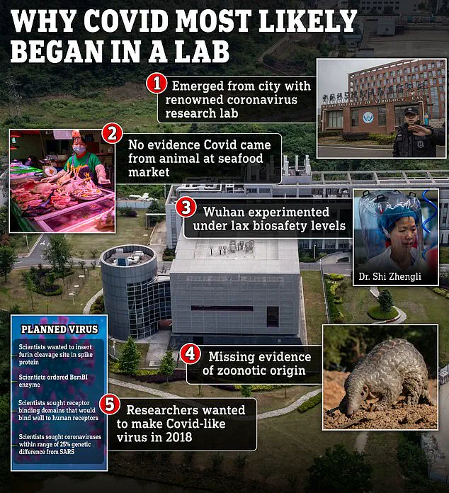 Chinese virologist's 'ominous' experiment sparks fears of another pandemic