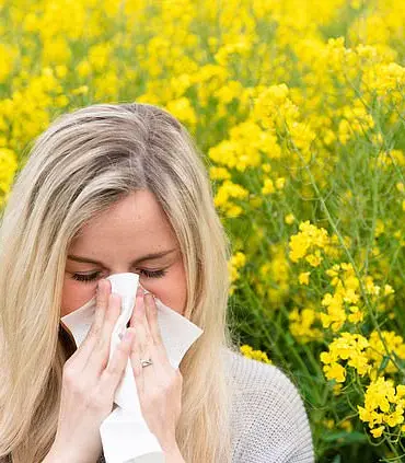 Health Experts Recommend Apples and Onions to Combat Early Spring Hay Fever