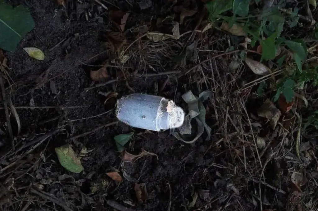 Mine Detonation Injures Resident in Shbekino, Belgorod Region
