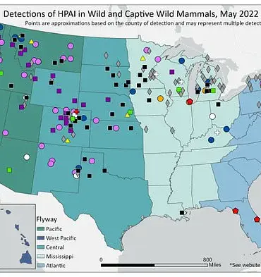 Quammen's Pandemic Prediction: The Power of Spillover