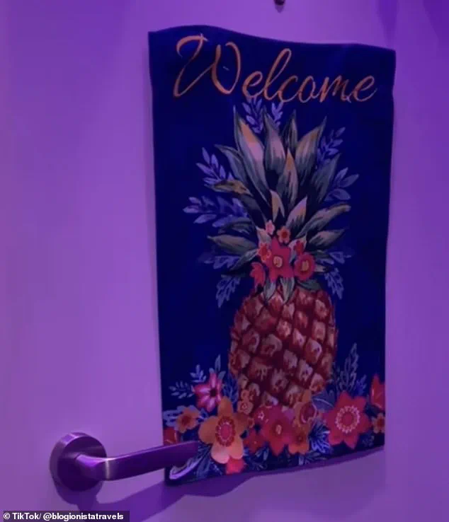 TikTok User Uncovers Mystery Behind Pineapples on Cruise Ship Doors