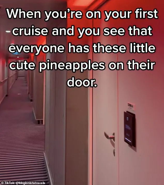 TikTok User Uncovers Mystery Behind Pineapples on Cruise Ship Doors