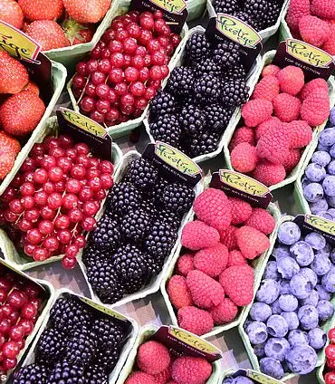Exclusive: Special Fruits and Veggies May Guard Against Hidden Microplastic Threat