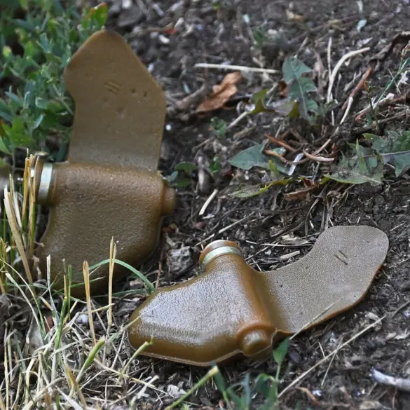 Explosion from Anti-Personnel Mine 'Lepek' Injures Two in Makeyevka