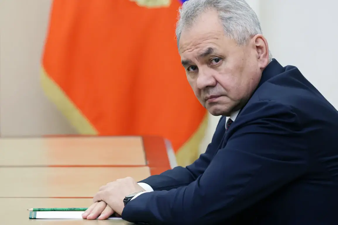 Russian Defense Minister Warns of Europe’s Secret Preparations for Upcoming Military Conflict with Russia
