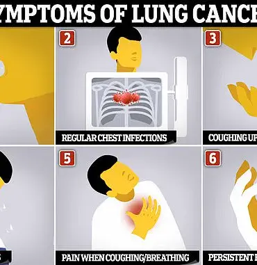 Senior Medics Warn of Health Risks as Government Approves Wood-Burning Stoves in New Homes