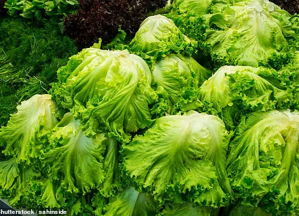 Sharp Rise in Deadly E. coli Strain Linked to Younger-Onset Colon Cancer