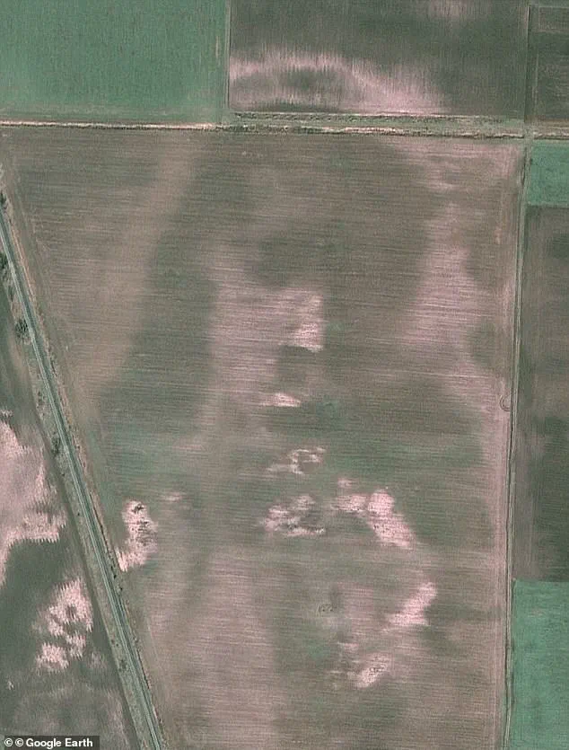 Spotting Jesus' Face: The Phenomenon of Pareidolia