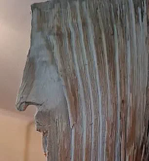 Spotting Jesus' Face: The Phenomenon of Pareidolia