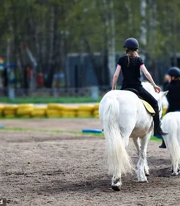 Texas Girl's Near-Fatal Horse Accident Leads to Spiritual Transformation